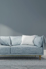 Sofa furniture